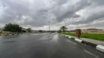 تحذيرات «الأرصاد»: غبار وأتربة مثارة ورياح شديدة في 11 منطقة اليوم.. – أخبار السعودية